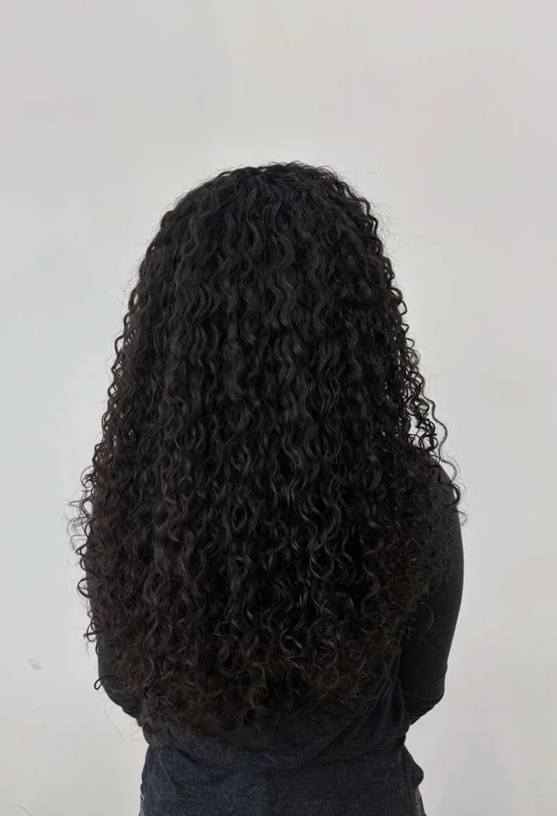 Long, defined dark curls viewed from behind.