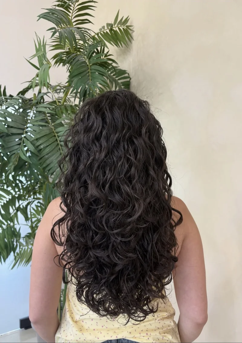 Long dark curls with a soft, rounded shape, viewed from behind.